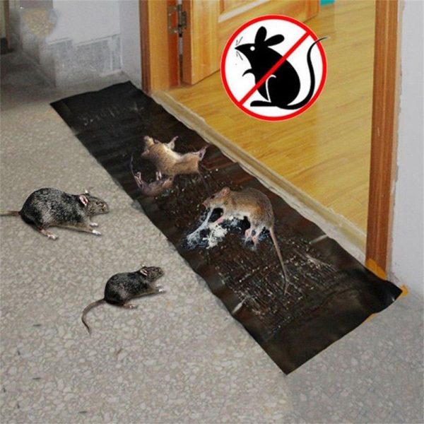 pack of 2 pcs Mouse Rat Trap Sheet