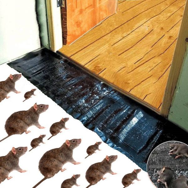 pack of 2 pcs Mouse Rat Trap Sheet